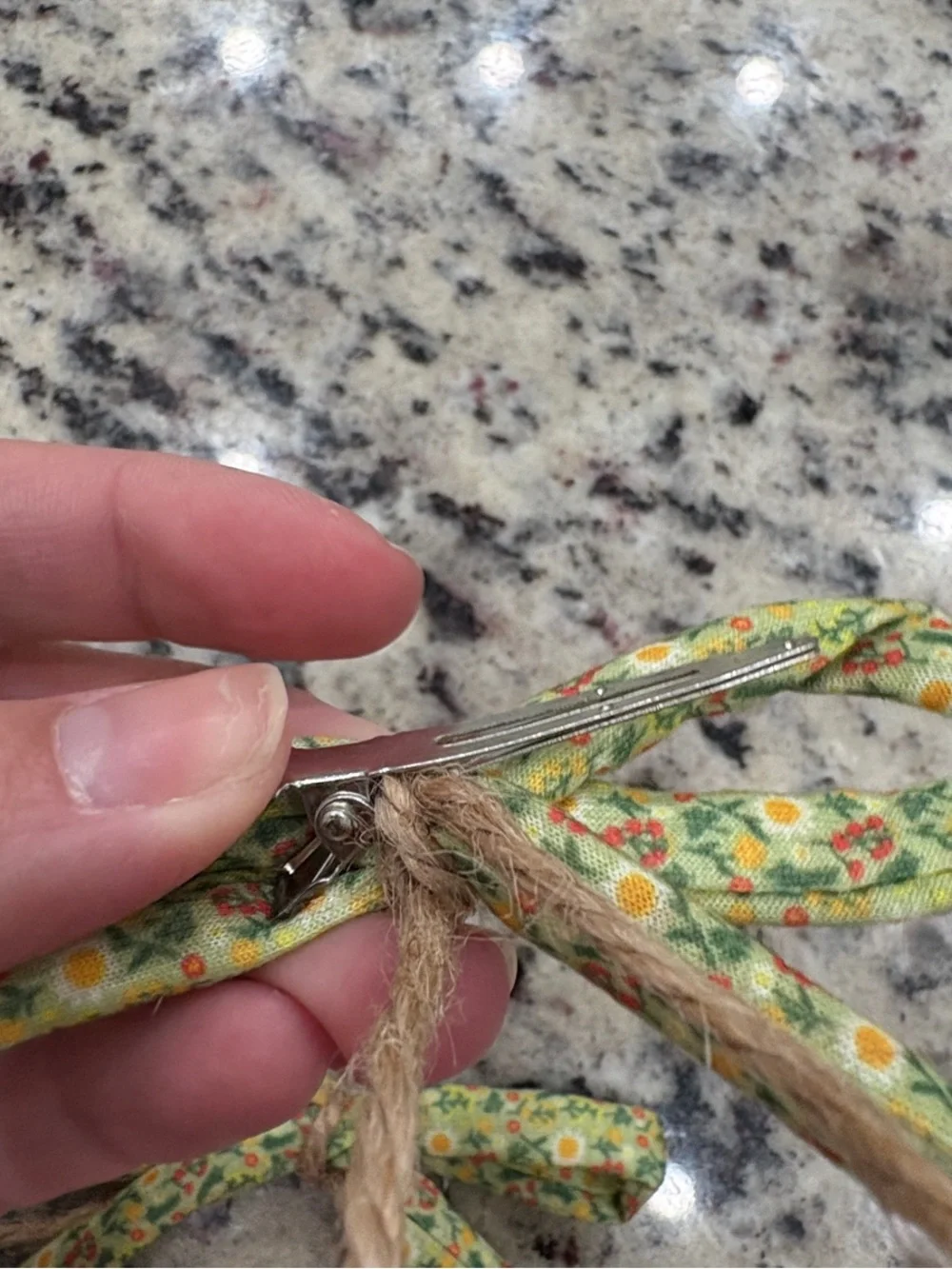 Pet or human bows!